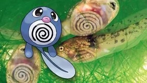 Your most Tita questions on Pokemon Go, answered Your most Tita questions on Pokemon Go, answered
