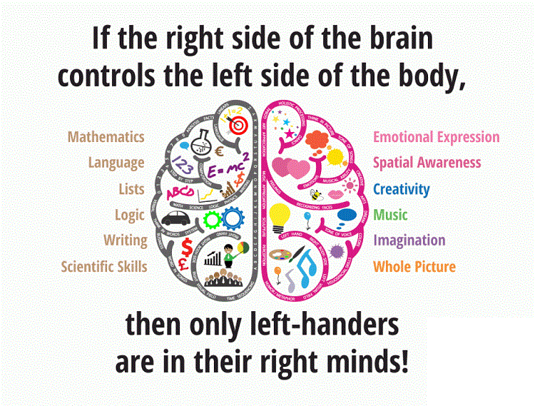 Left-Handers: Being Different Also Makes Them Exceptional ...