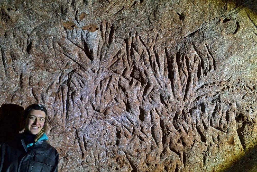 Researchers have found very ancient massive tunnels. When they examined the burrows scary truth came out Researchers have found very ancient massive tunnels. When they examined the burrows scary truth came out