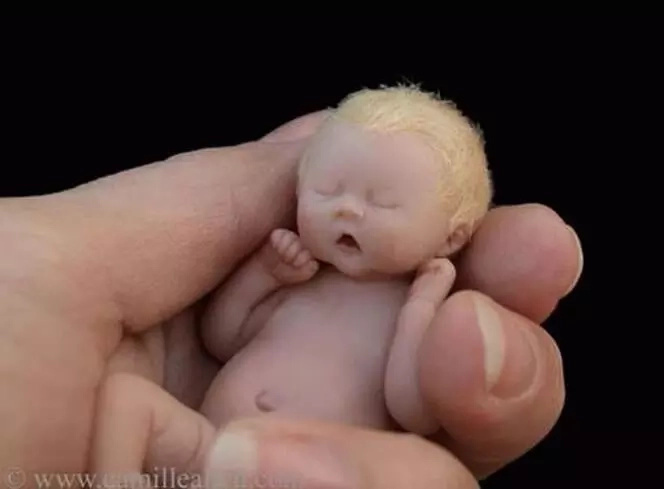 This baby is only about the size of a hand, look closer as you realize what it truly is! This baby is only about the size of a hand, look closer as you realize what it truly is!