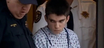 11-year-old stabbed classmate in France