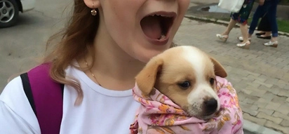 Teenage Girl Arrested For Filming Herself Killing Animals In Barbaric Way