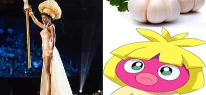 Here's how some of the national costumes in the Miss Universe 2016 look like