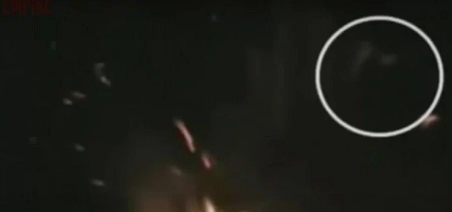 Mysterious Creatures Caught On TAPE — And Everyone Loses Their Sh*t Mysterious Creatures Caught On TAPE — And Everyone Loses Their Sh*t