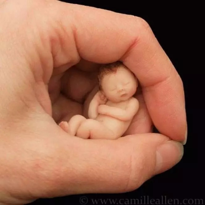 This baby is only about the size of a hand, look closer as you realize what it truly is! This baby is only about the size of a hand, look closer as you realize what it truly is!