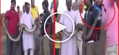 Aray ko po! Enormous deadly snake violently bites helpless man taking a selfie