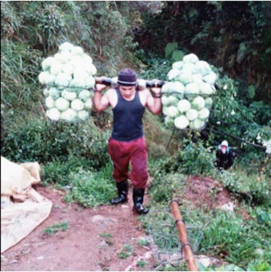 LOOK: 7 handsome blue-collar workers that have gone viral LOOK: 7 handsome blue-collar workers that have gone viral