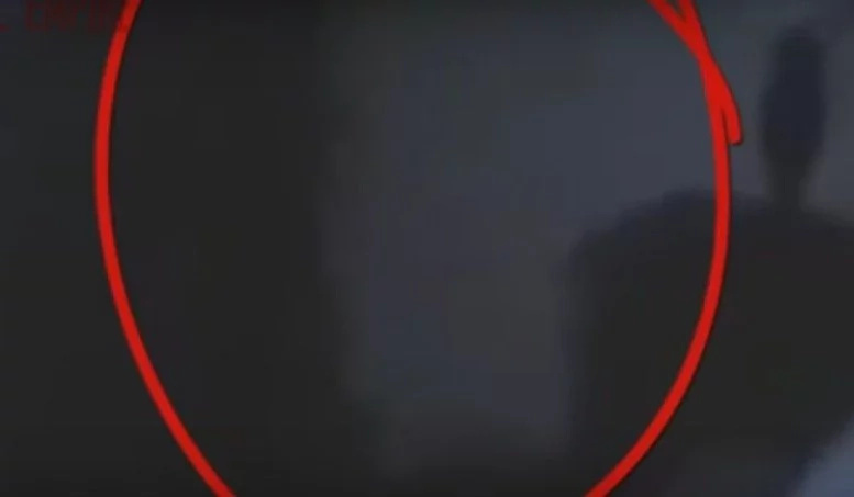 Mysterious Creatures Caught On TAPE — And Everyone Loses Their Sh*t Mysterious Creatures Caught On TAPE — And Everyone Loses Their Sh*t