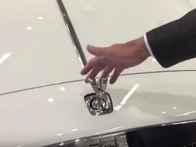 This is what happens if you try to steal a Rolls Royce hood ornament...