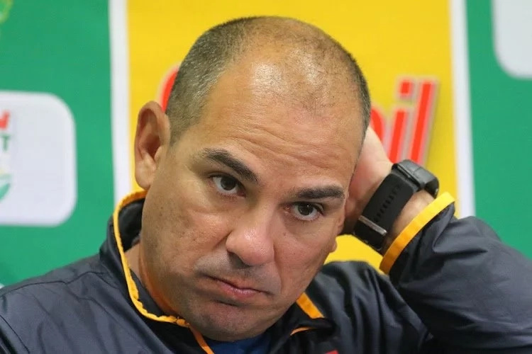 Proteas job wore me down, says Domingo Proteas job wore me down, says Domingo