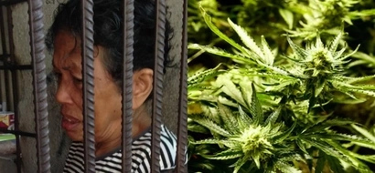 Hustler pala si lola! Grandmother who sells drugs to feed grandchildren gets arrested