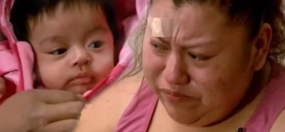 Hero pitbull saves baby girl from ruthless robbers who broke into owner's home