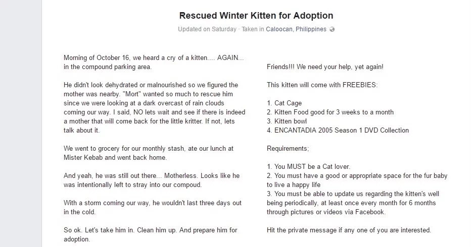 Netizen uses social media to look for catlovers Netizen uses social media to look for catlovers