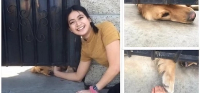 Viral dog waits for Elisa everyday after school and the internet has fallen in love