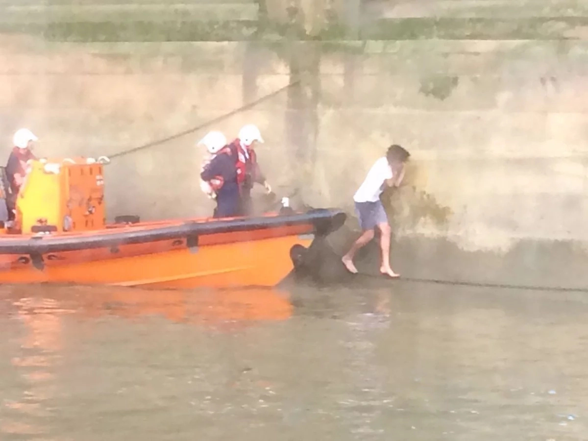 A brave man spotted this dog drowning in a city channel. Minutes later, he was keeping a terrified animal in his hands A brave man spotted this dog drowning in a city channel. Minutes later, he was keeping a terrified animal in his hands
