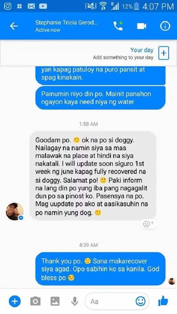 netizen-dog-abuse netizen-dog-abuse