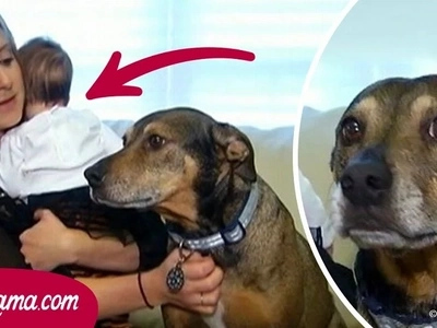 Ella se despertó porque su perro adoptado estaba actuando extraño, un minuto después vio que la bebé en la cuna no respiraba