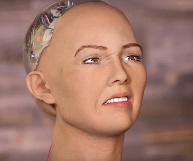 Robot warns television host about destroying humans. Was that a joke? Robot warns television host about destroying humans. Was that a joke?