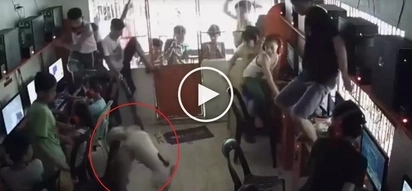 Crazy fight between 2 wild dogs scares Pinoy customers in computer shop