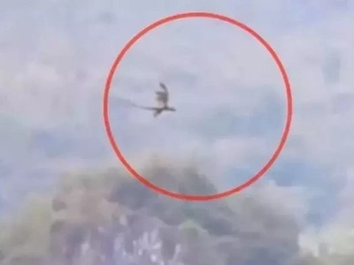 Nakakatakot naman! Scary dragon-like creature caught on video flying in China