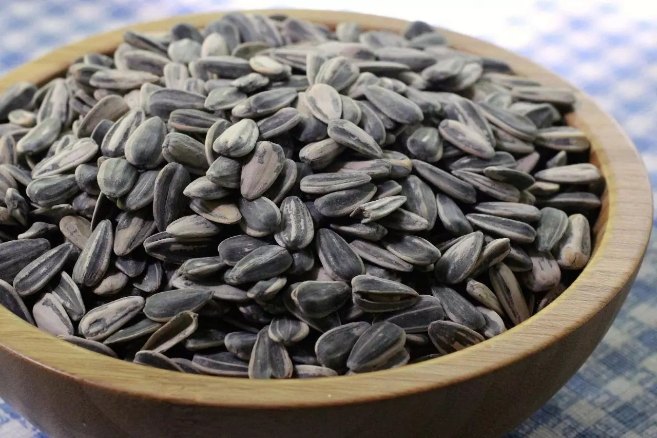 Sunflower Farming in Kenya Made Easy Tuko.co.ke