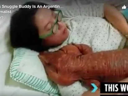 She sleeps with it in her bed every night – And people are stunned it hasn’t tried to eat her
