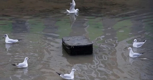 When this old canal was drained, locals were surprised to find a lot of unexpected things on the bottom. When this old canal was drained, locals were surprised to find a lot of unexpected things on the bottom.