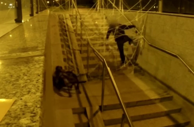 Mutant Giant Spider Dog - Your Worst Nightmare Mutant Giant Spider Dog - Your Worst Nightmare
