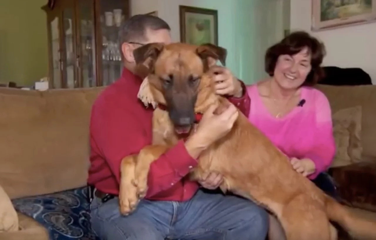 Happy Family Credit: YouTube Happy Family Credit: YouTube