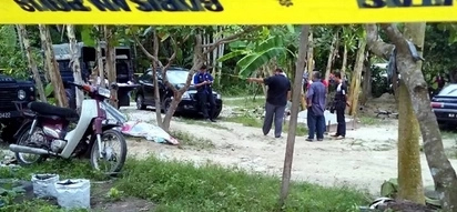 Deranged man says ‘voices’ tells him to kill his brother