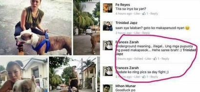 Ruthless Pinay gets flak for entering pet dog in underground fight