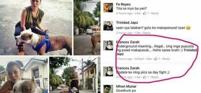 Ruthless Pinay gets flak for entering pet dog in underground fight