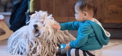 Mark Zuckerberg shared his daughter's first word and it was not 'Facebook.'