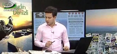 Stray Cat Walks Into Live News Broadcast, Presenter's Eyes Say It All (Video)