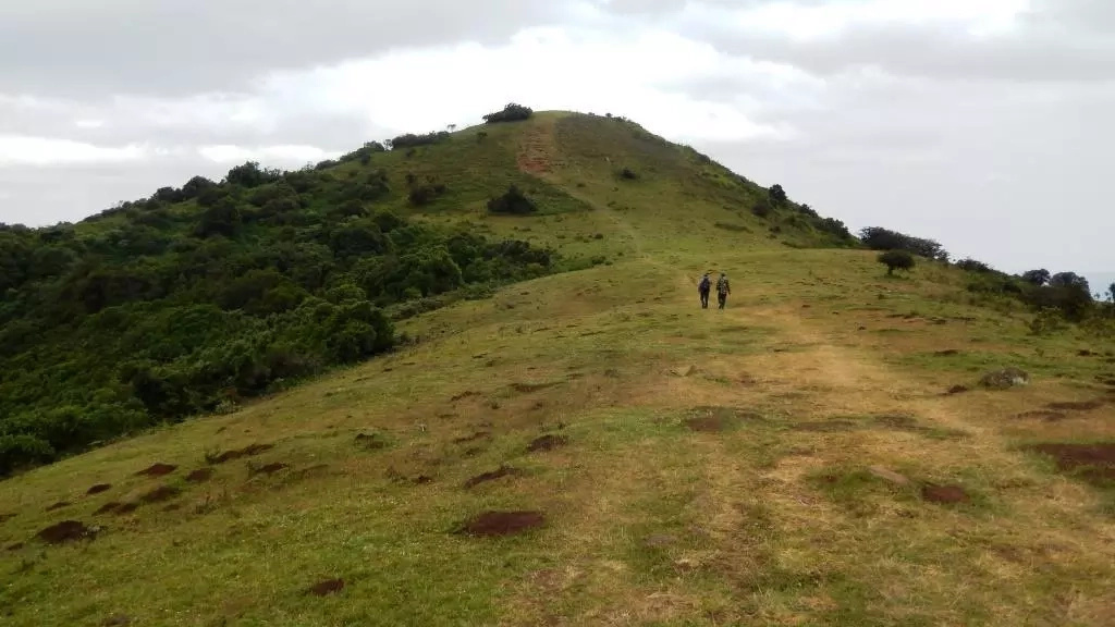 Top 6 Places to Visit in Nairobi Tuko.co.ke