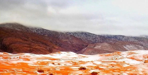 Surprise as snow falls in the Sahara desert for first time in over 37 years