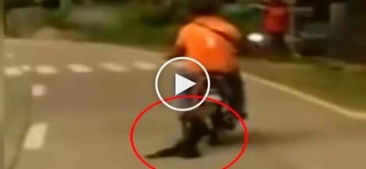 Pinoy rider caught on video dragging poor dog behind motorcycle