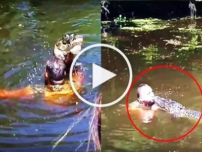 This daring tour guide jumped in the water filled with deadly alligators and fed them from his mouth!