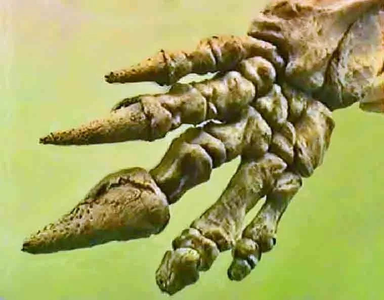 Researchers have found very ancient massive tunnels. When they examined the burrows scary truth came out Researchers have found very ancient massive tunnels. When they examined the burrows scary truth came out