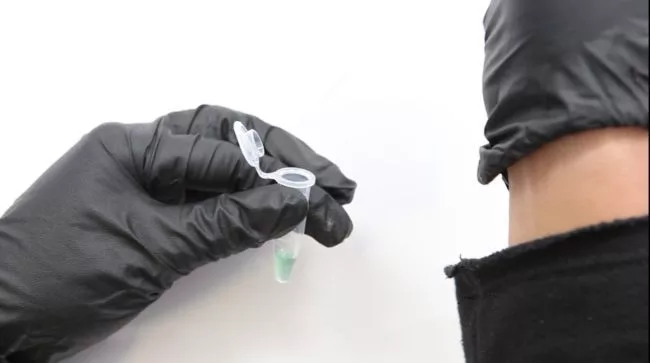 Tired of blood tests? Don’t worry! We have tattoos that changes colors to detect levels of sodium, glucose and PH! Tired of blood tests? Don’t worry! We have tattoos that changes colors to detect levels of sodium, glucose and PH!