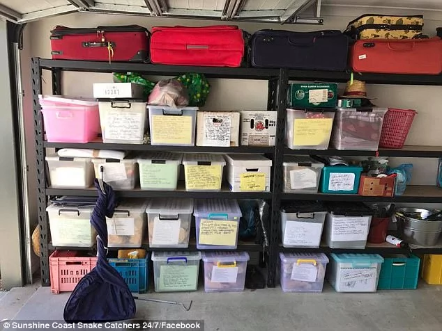 Homeowners spotted a 5-ft. snake in their garage. When they came back for it, they were surprised to see it camouflaged so well... Homeowners spotted a 5-ft. snake in their garage. When they came back for it, they were surprised to see it camouflaged so well...