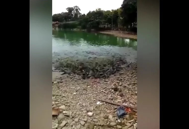 fish-buffet fish-buffet