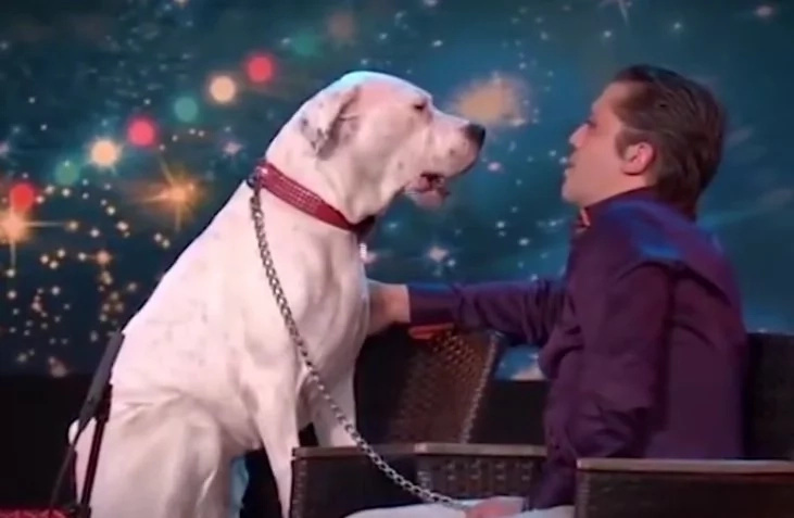 Dog sings Whitney Houston hit in viral video Dog sings Whitney Houston hit in viral video