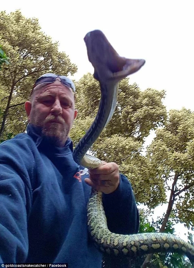 This man attacks snake with shovel after reptile killed his dog