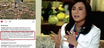 Dra. Vicki Belo denies blaming Duterte admin in her post about malnourished zebras and giraffes in Palawan