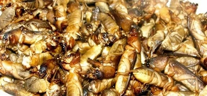 You wouldn't believe that Pinoys actually eat these 5 nasty dishes!