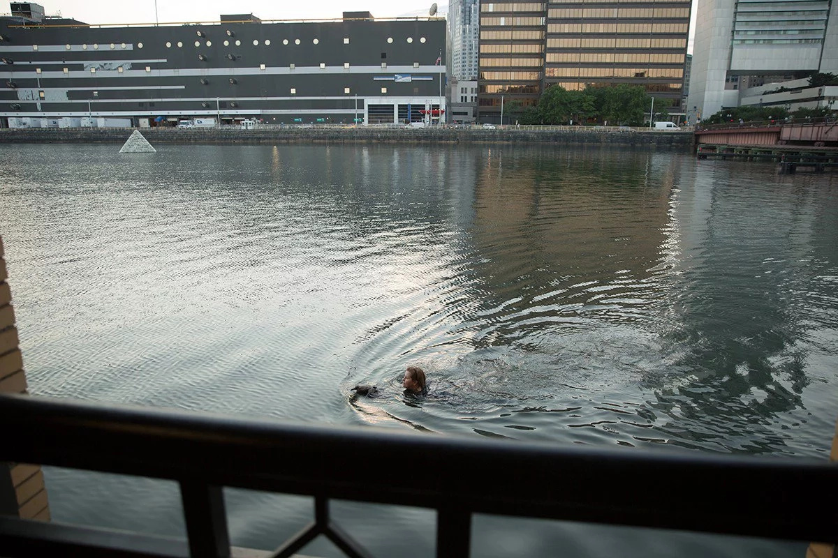 She dived into an icy cold channel to save a drowning bird She dived into an icy cold channel to save a drowning bird