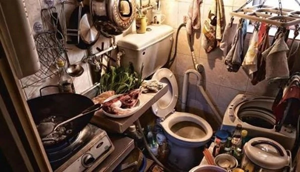 These guys live in cramped spaces These guys live in cramped spaces