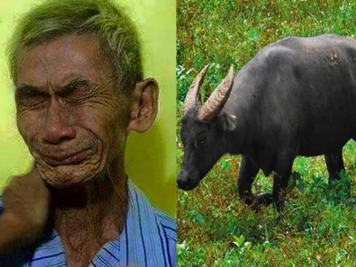 Poor old farmer mourns for his carabao after thieves did this terrible thing for him