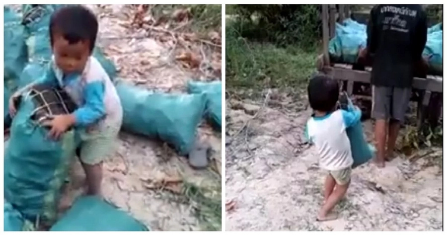 Sobrang matulungin! Child works to help parents carry heavy things to trucks Sobrang matulungin! Child works to help parents carry heavy things to trucks